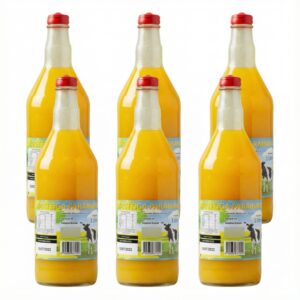 Manteiga de Garrafa Paraibana 1L Pacote com 06