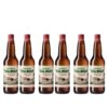 Cachaça Salinas Umburana 600ml - 06 garrafas, Armazém Nordestino Atacado